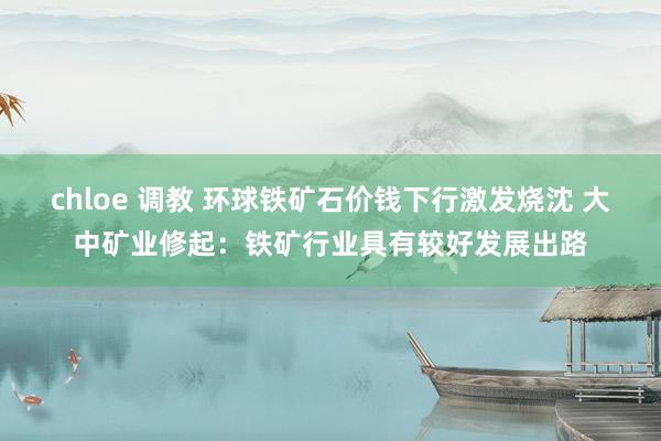 chloe 调教 环球铁矿石价钱下行激发烧沈 大中矿业修起：铁矿行业具有较好发展出路