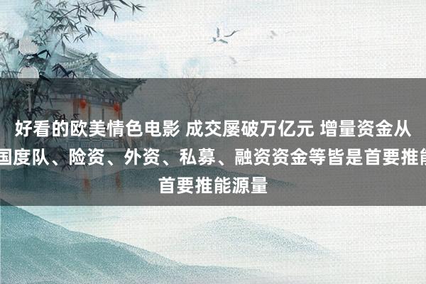 好看的欧美情色电影 成交屡破万亿元 增量资金从这来 国度队、险资、外资、私募、融资资金等皆是首要推能源量
