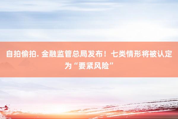 自拍偷拍. 金融监管总局发布！七类情形将被认定为“要紧风险”