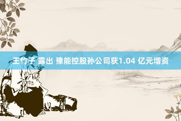王竹子 露出 豫能控股孙公司获1.04 亿元增资