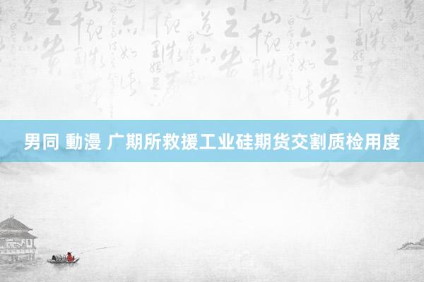 男同 動漫 广期所救援工业硅期货交割质检用度