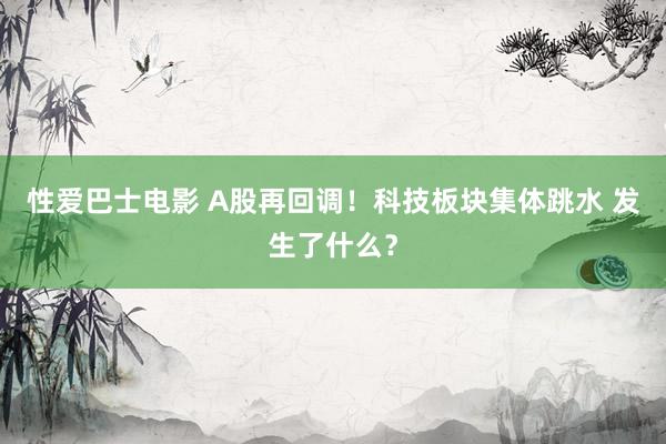 性爱巴士电影 A股再回调！科技板块集体跳水 发生了什么？