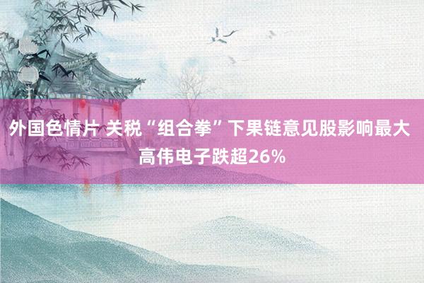 外国色情片 关税“组合拳”下果链意见股影响最大 高伟电子跌超26%